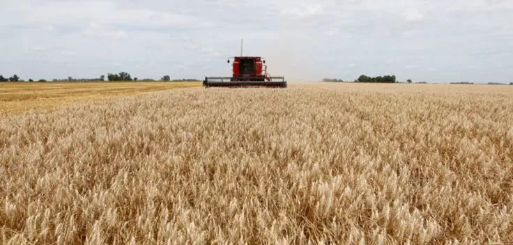 Retenciones extencion