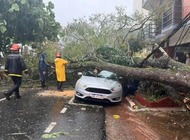temporal Misiones
