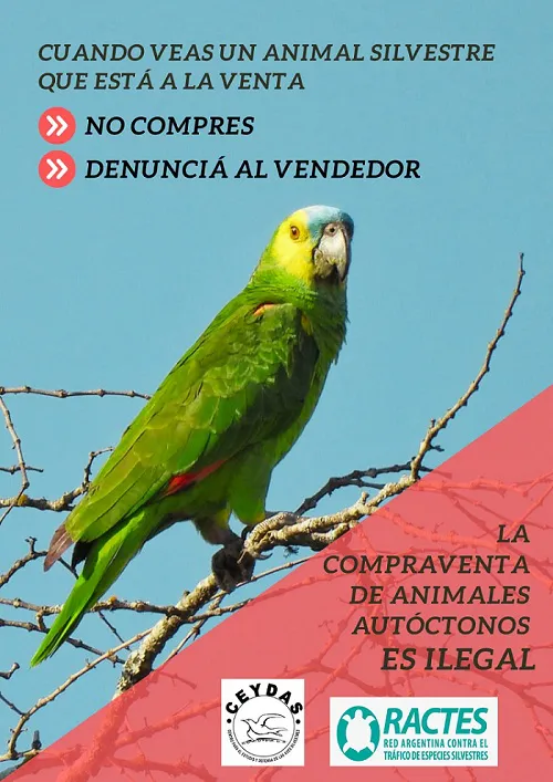 tráfico de fauna 1