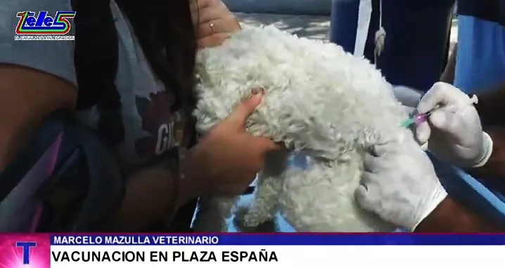 veterinaria municipal 1