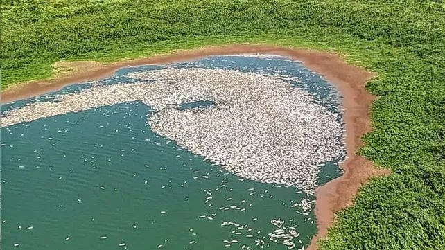 río paraná_01
