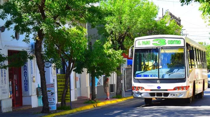 COLECTIVOS 3