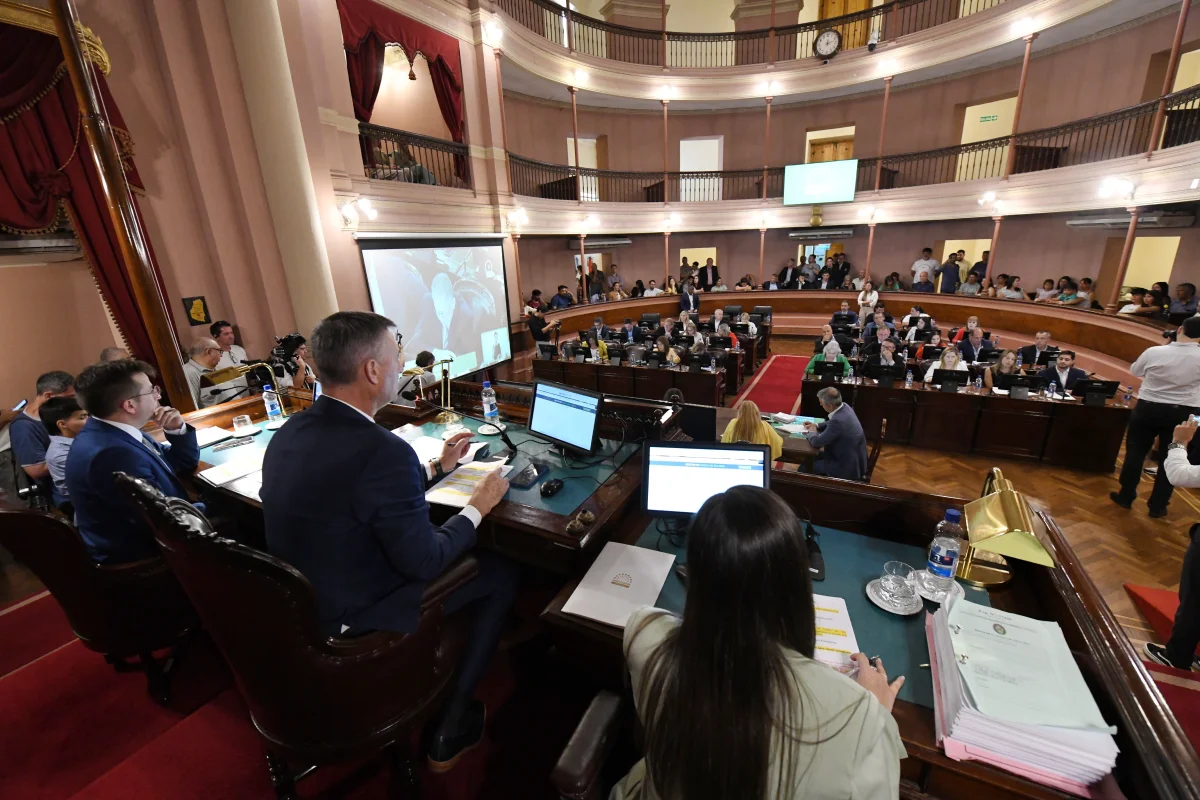 diputados-hein