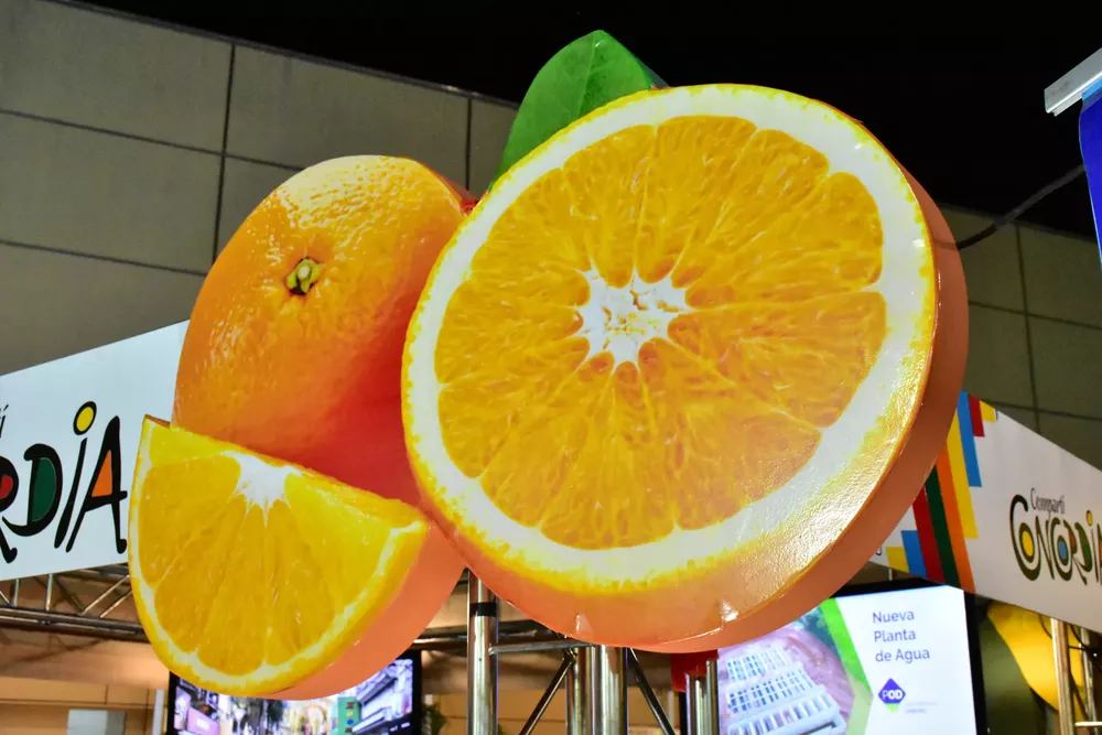 FIESTA NACIONAL DE LA CITRICULTURA EXPOCITRUS (2) (1)
