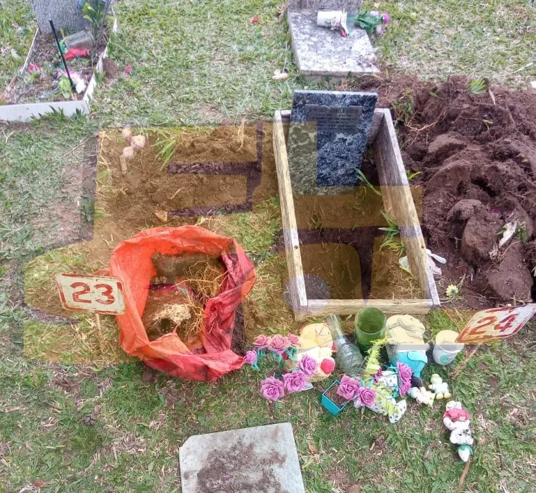 Cementerio Municipal_2