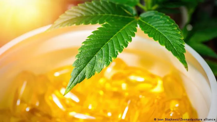 cannabis