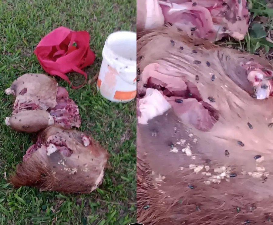 WhatsApp-Image-2026-03-28-at-23.17.53