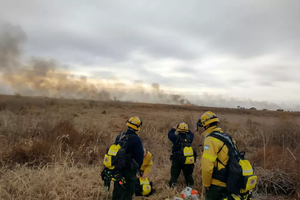 Incendios en el Delta (2)