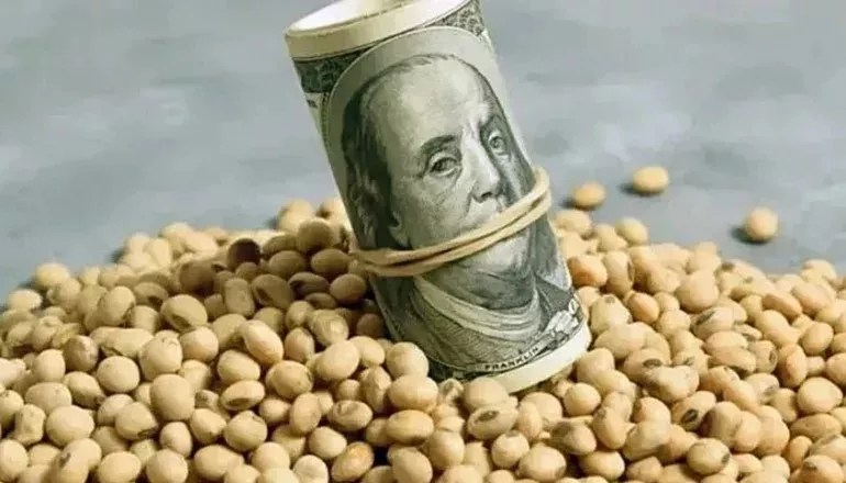 Dólar Soja