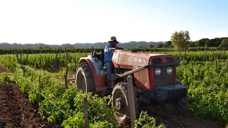 productores agrícolas