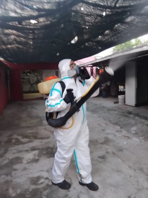 fumiga