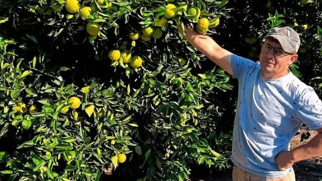 citrucultura-rios