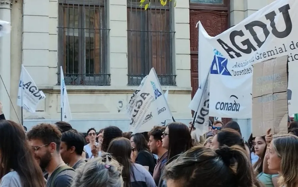 docentes