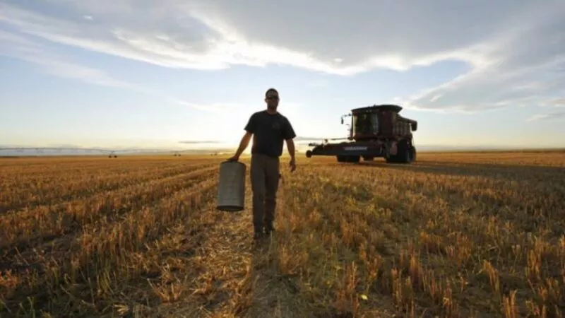 Trabajador rural, campo