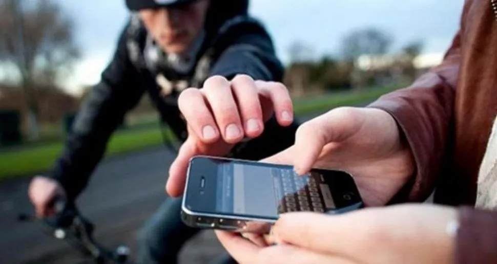Editorial - Bicichorros asesinos