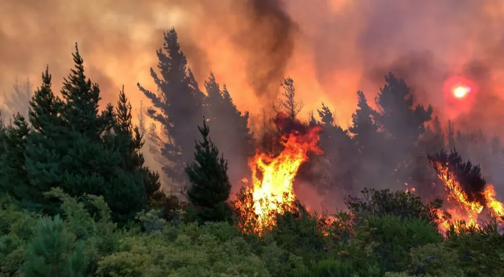 incendio