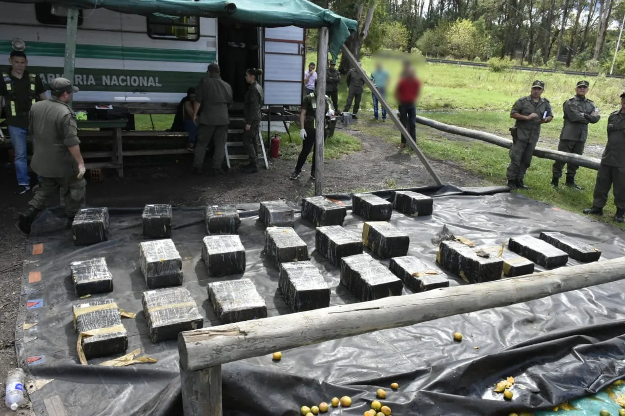 camionero_intento_huir_con_mas_de_1.800_kilos_de_marihuana_ocultos_en_una_carga_de_mandarinas_2