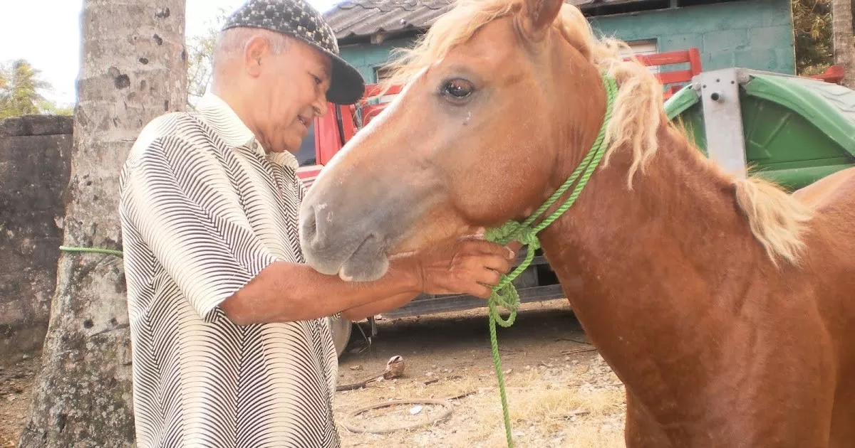 Caballo