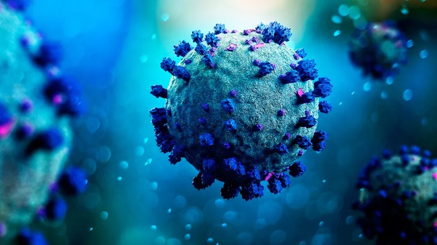 Coronavirus