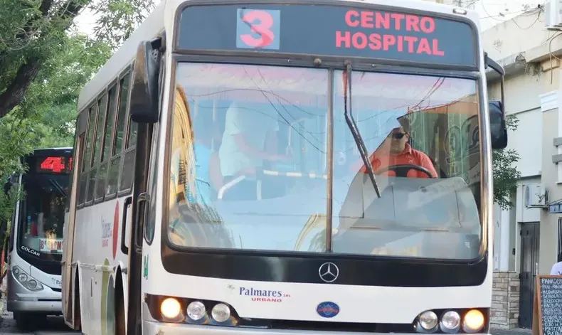 colectivos