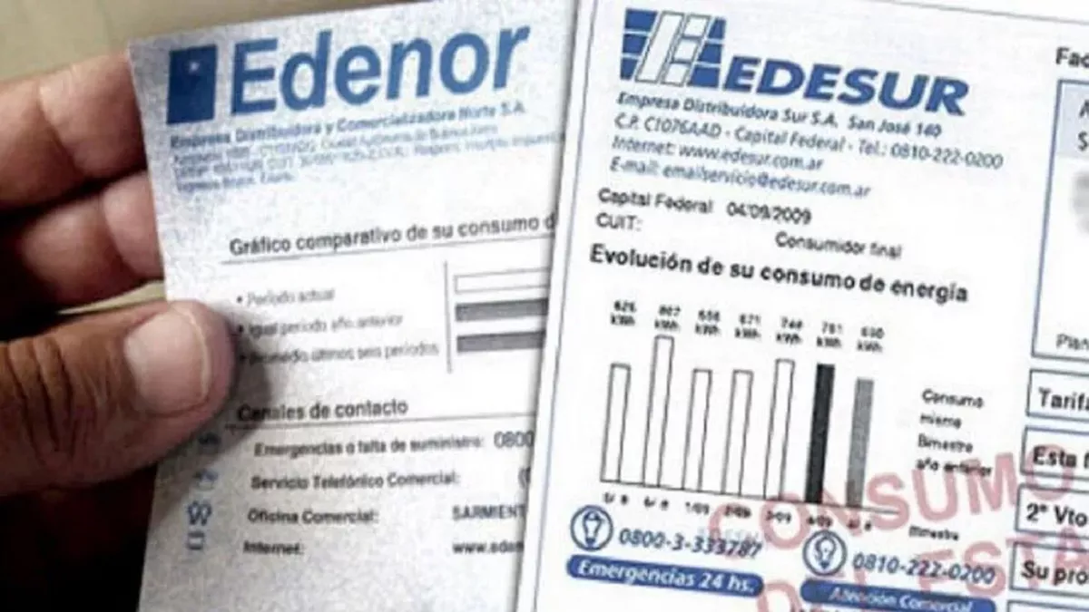 EDESUR Y EDENOR