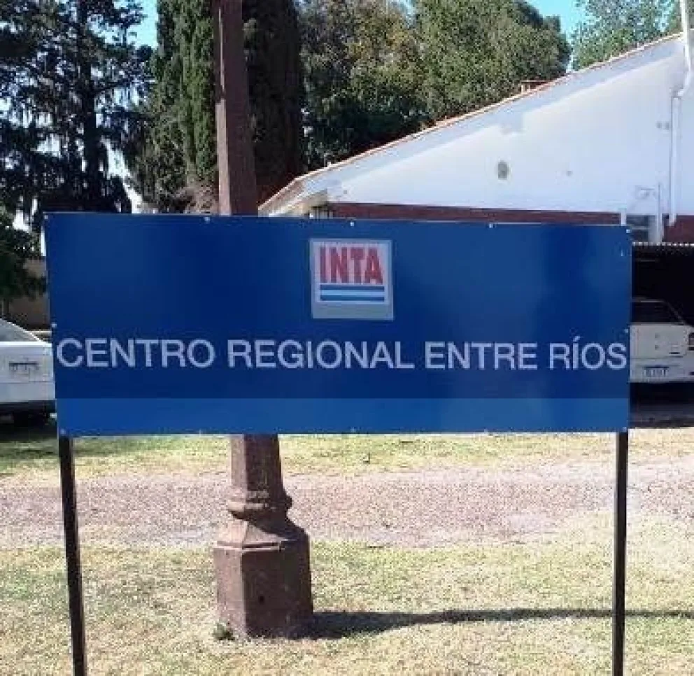 inta