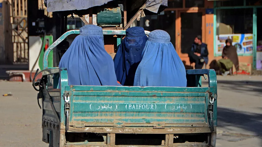talibanes