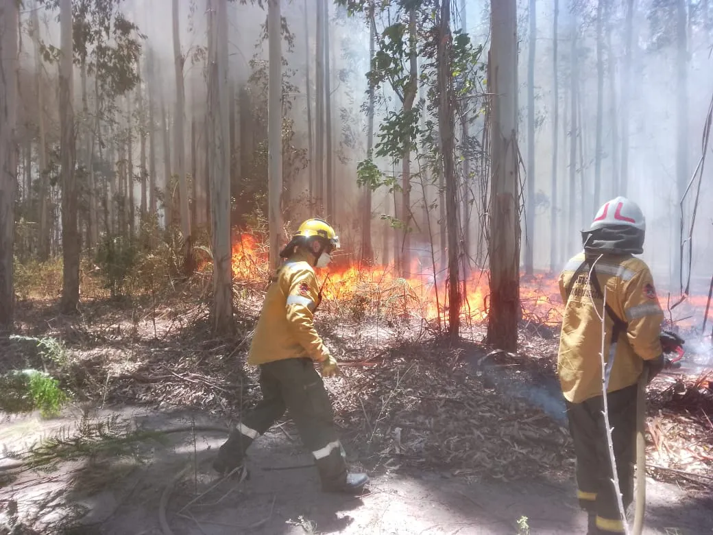bomberos