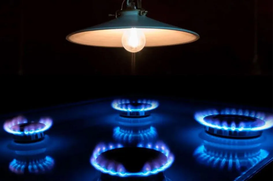 Susidios nueva escala