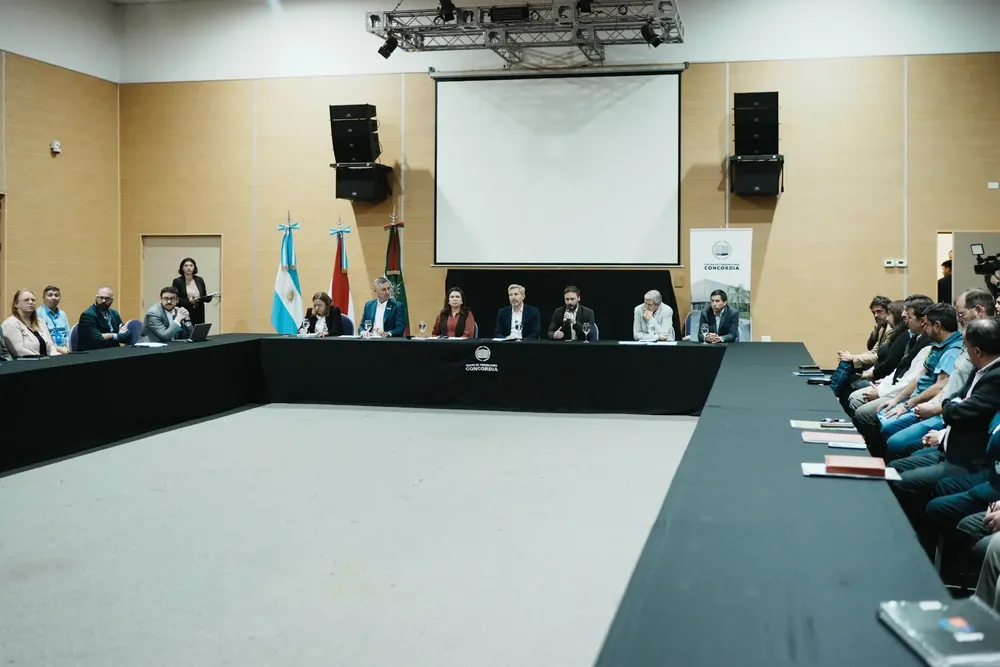 Azcue Frigerio ONU 1