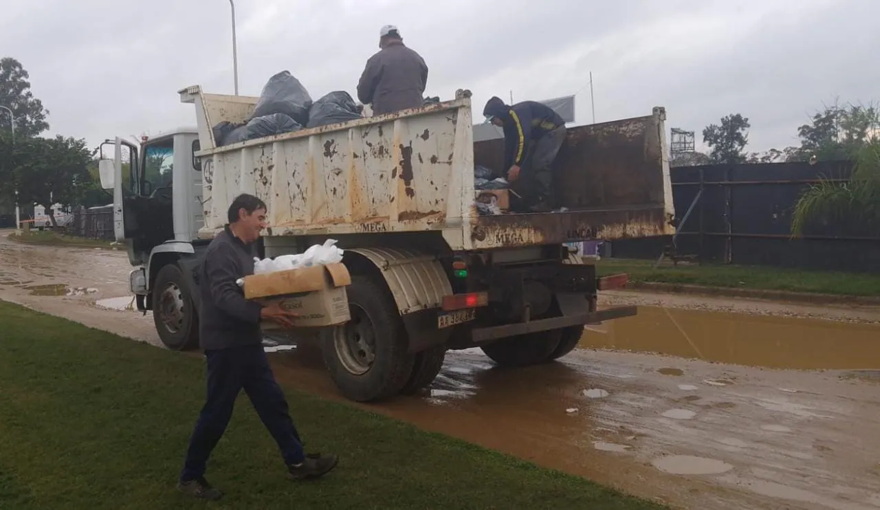 LIMPIEZA DE LA CIUDAD (9)