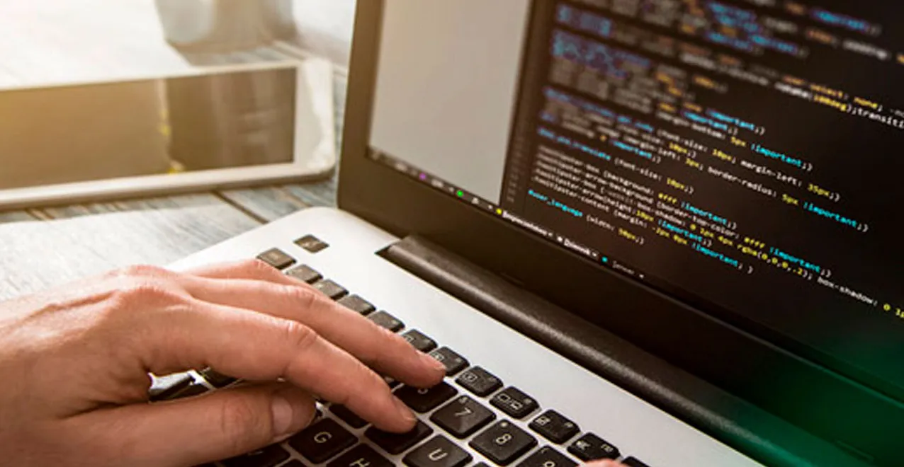 desarrollo web