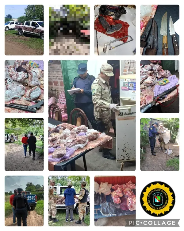 Allanamiento - abigeato