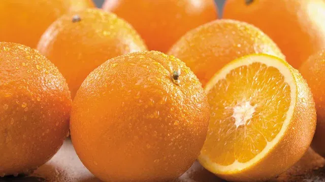 Citrus 1