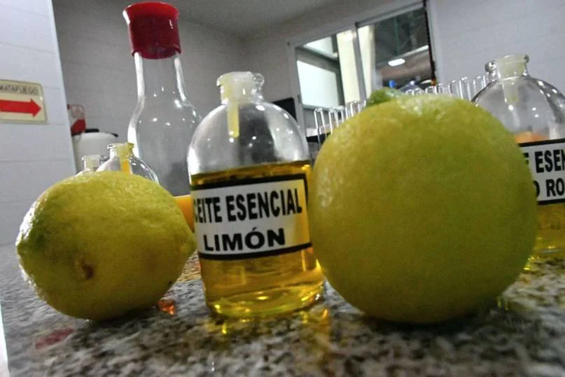 ESENCIA