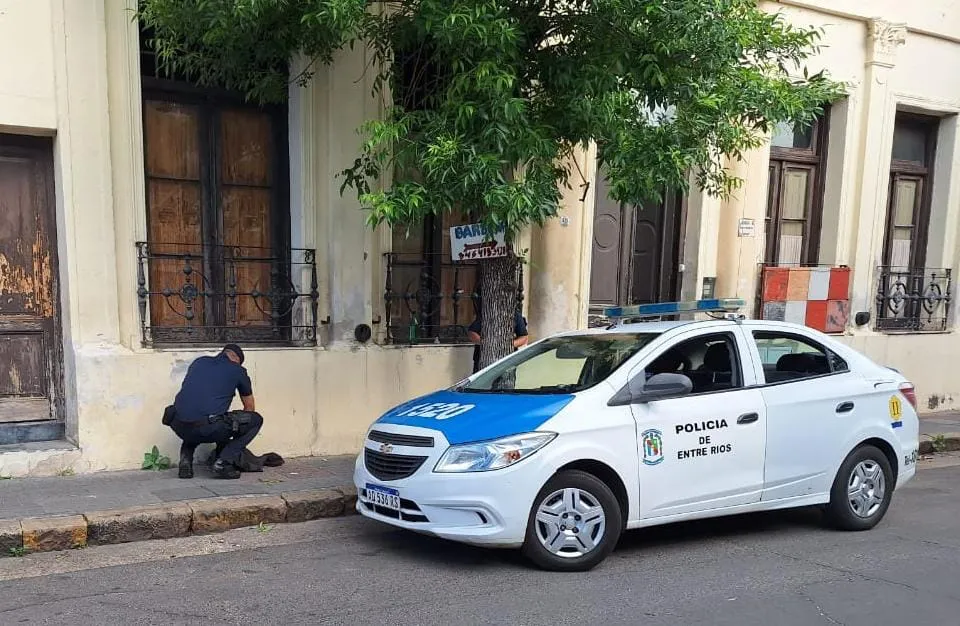 WhatsApp Image 2023-11-24 at 18.39.44