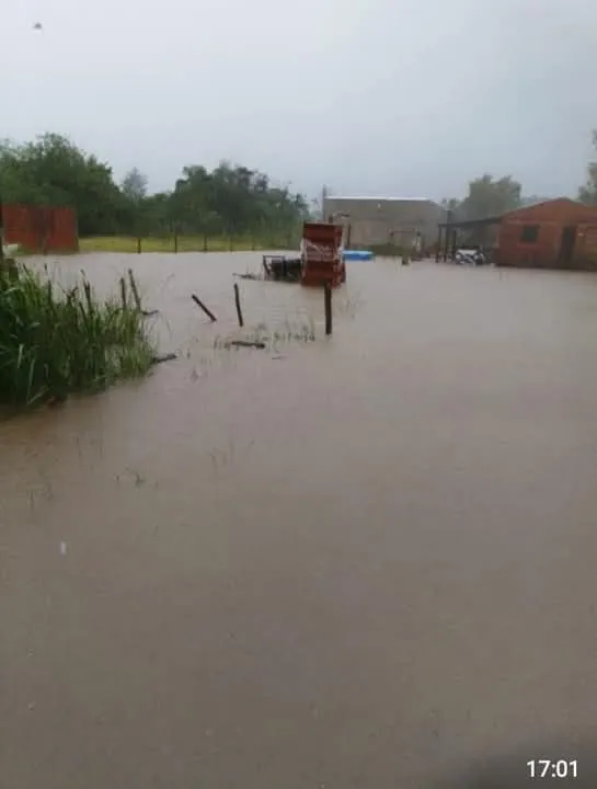 FB_IMG_1742006661725