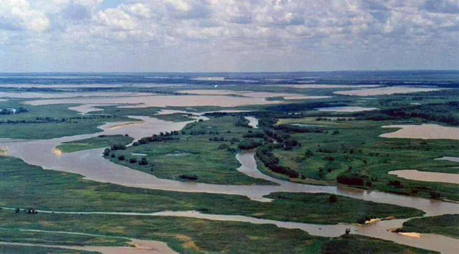 delta paraná