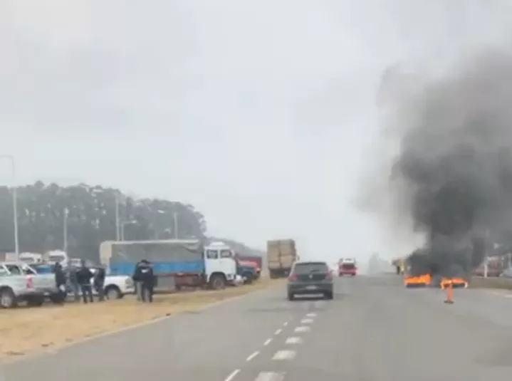 protesta r14_1