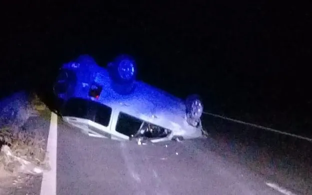 Accidente carpincho