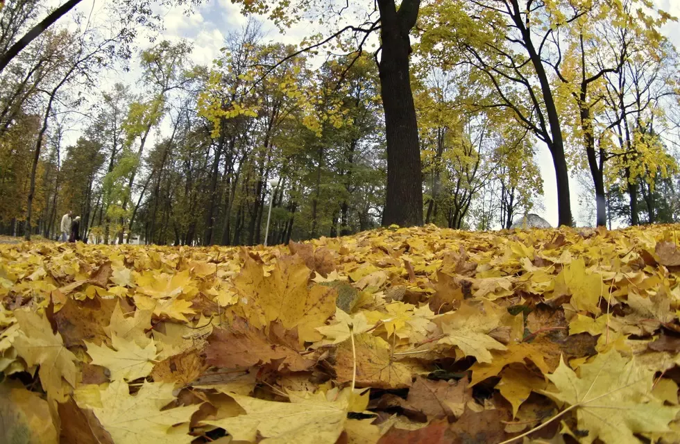 Otoño_1