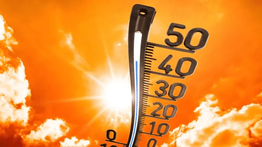 calor