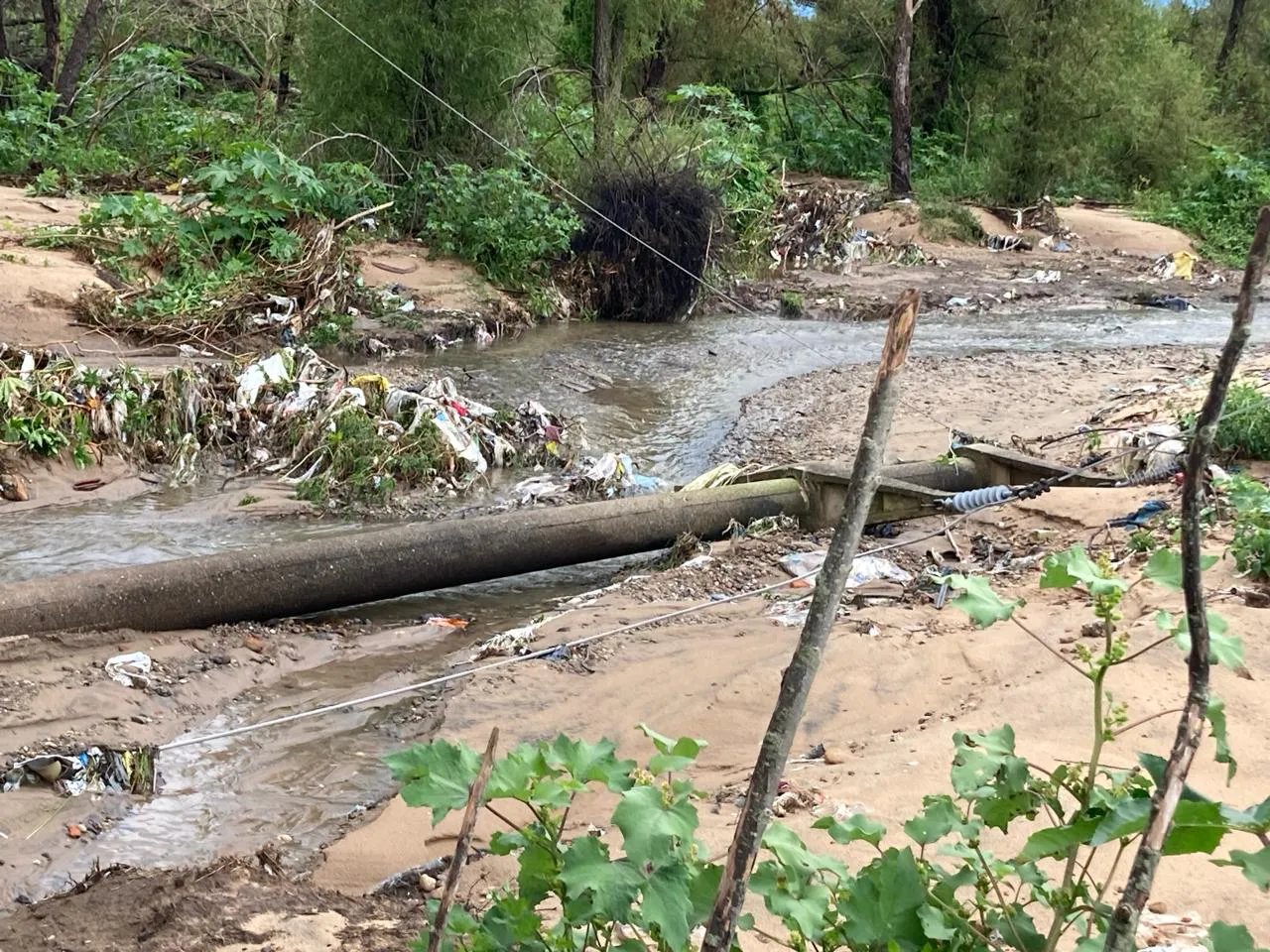 WhatsApp Image 2024-03-09 at 09.53.01 (1)