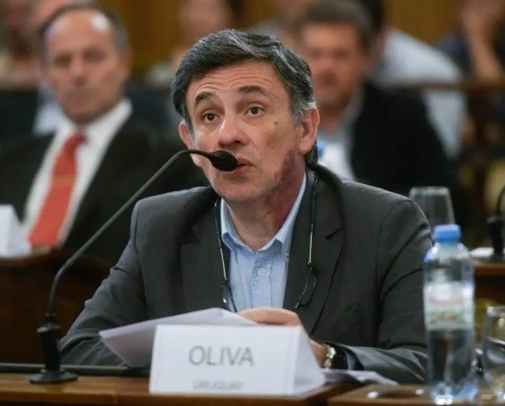 oliva