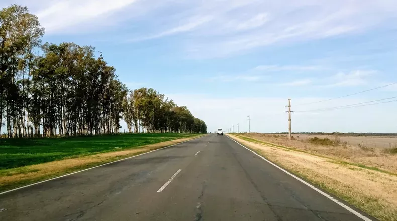 Ruta 14