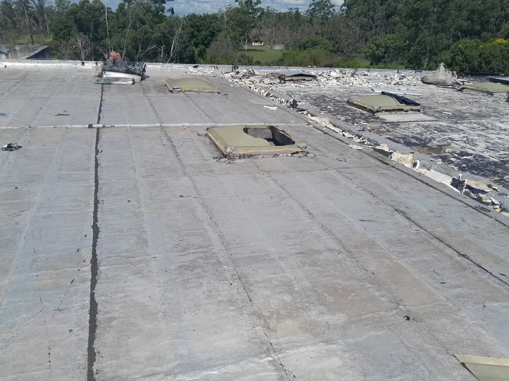 WhatsApp Image 2024-03-01 at 18.06.34