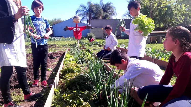 ESCUELAS VERDES Y SUSTENTABLES