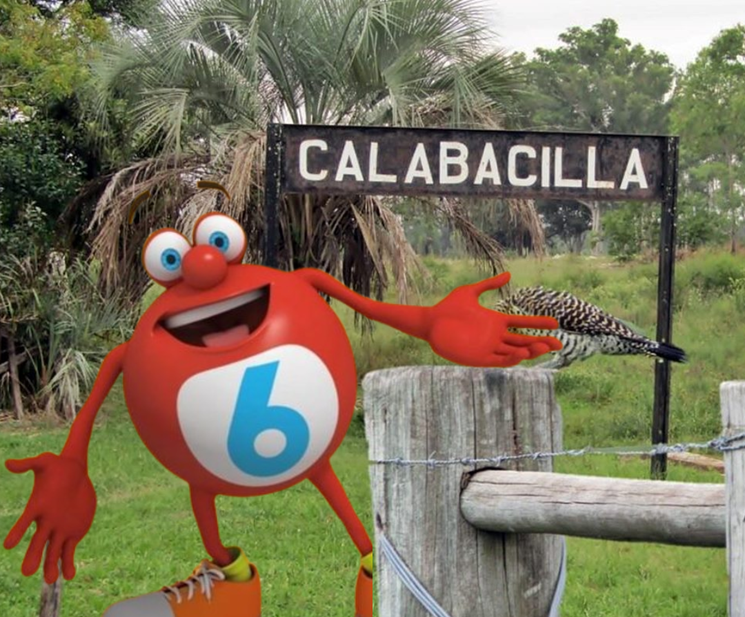 quini 6 calabacilla