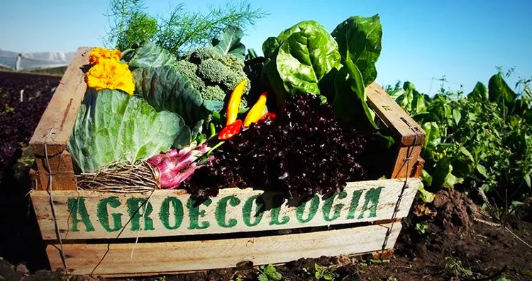 Agroecología