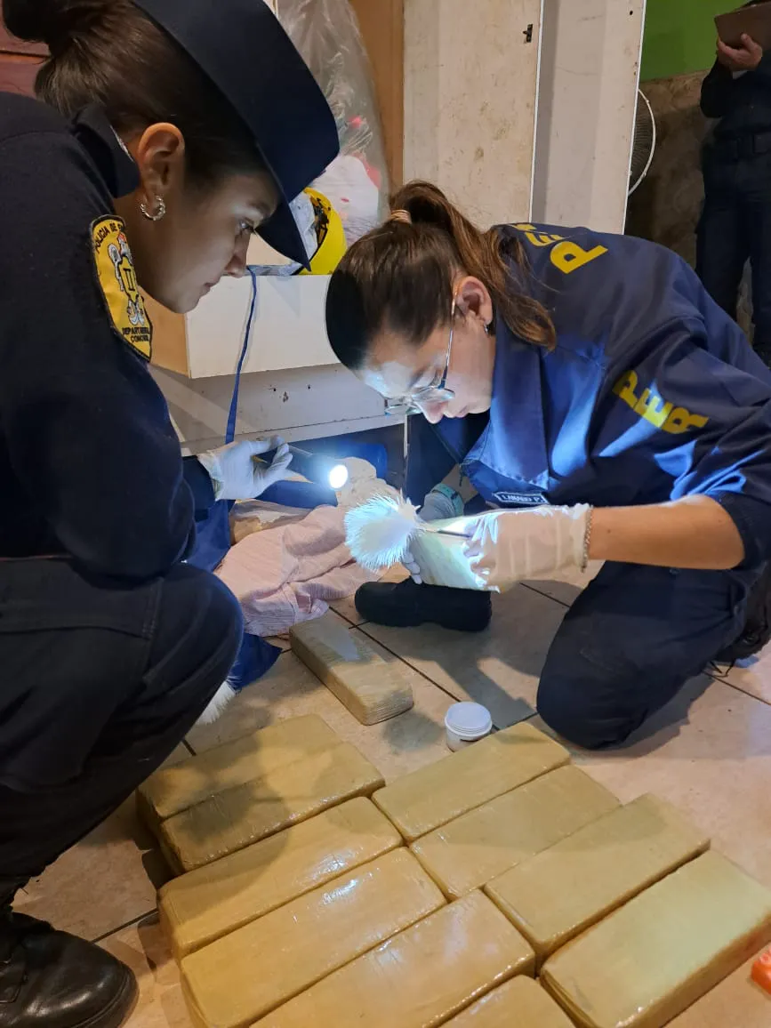 88f44dd0-da17-425a-b676-2088c4e62b93